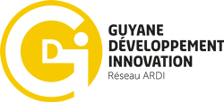 logo-GDI